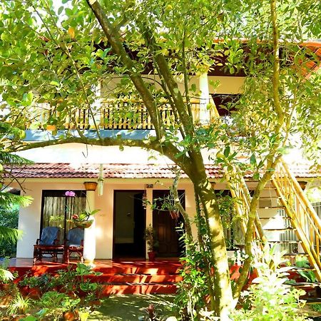 Marari John'S Beach Apartman Mararikulam Kültér fotó